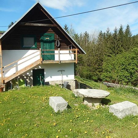 Ferienhaus Am Reitbauernhof Luckyranch Mellach  Экстерьер фото